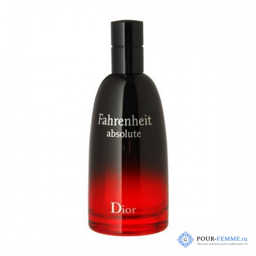 FAHRENHEIT ABSOLUTE DIOR