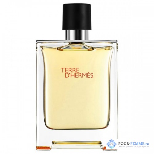 Hermes Terre D'Hermes Pour Homme