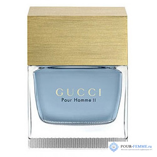 Gucci Pour Homme 2