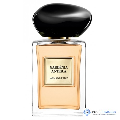 Giorgio Armani Prive Gardenia Antigua