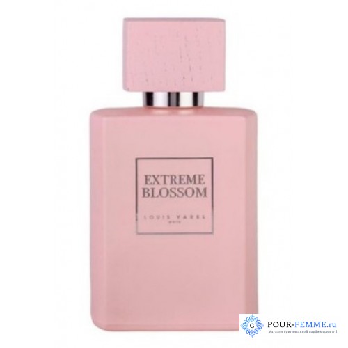 Louis Varel Extreme Blossom